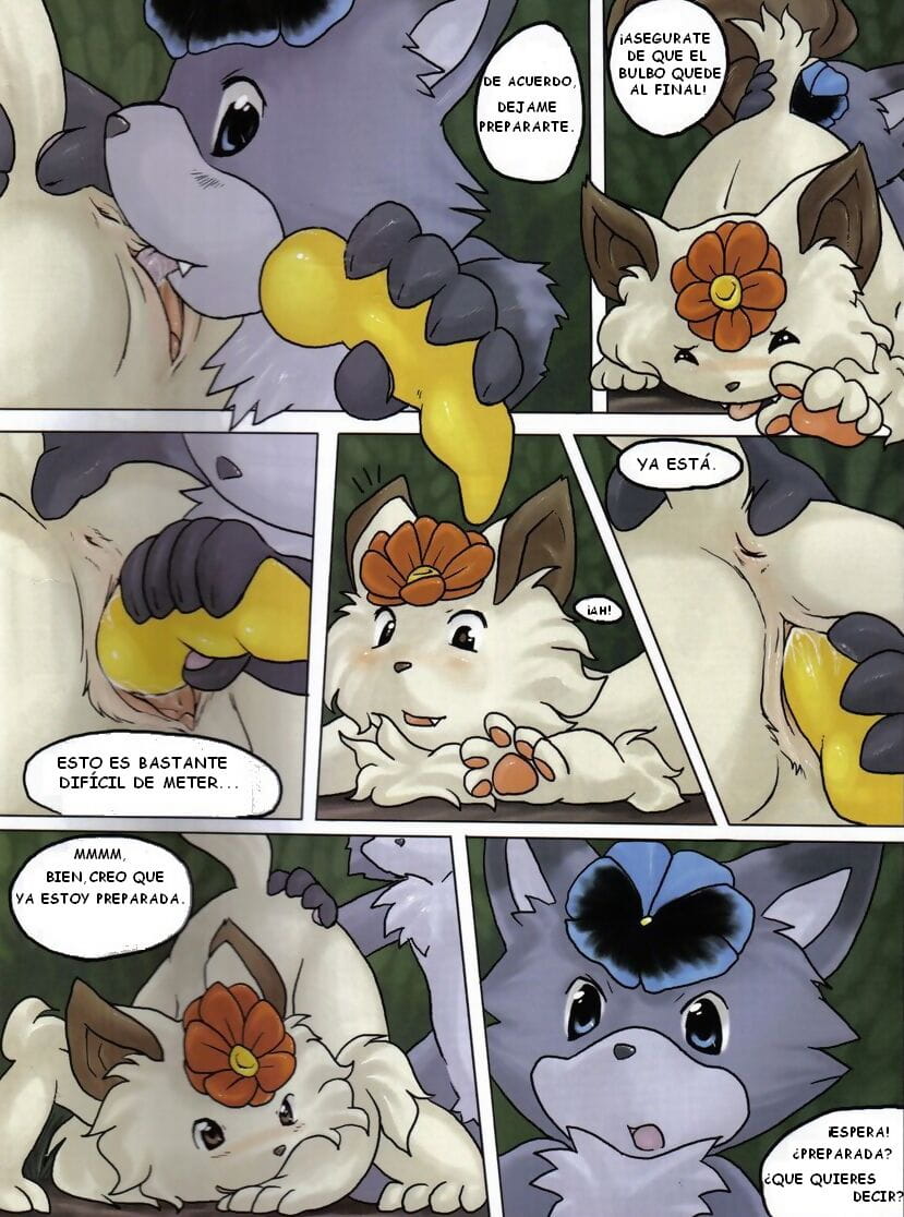 Hoa mèo page 1